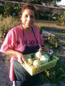 Sharing Success in a Vegetable Garden Image